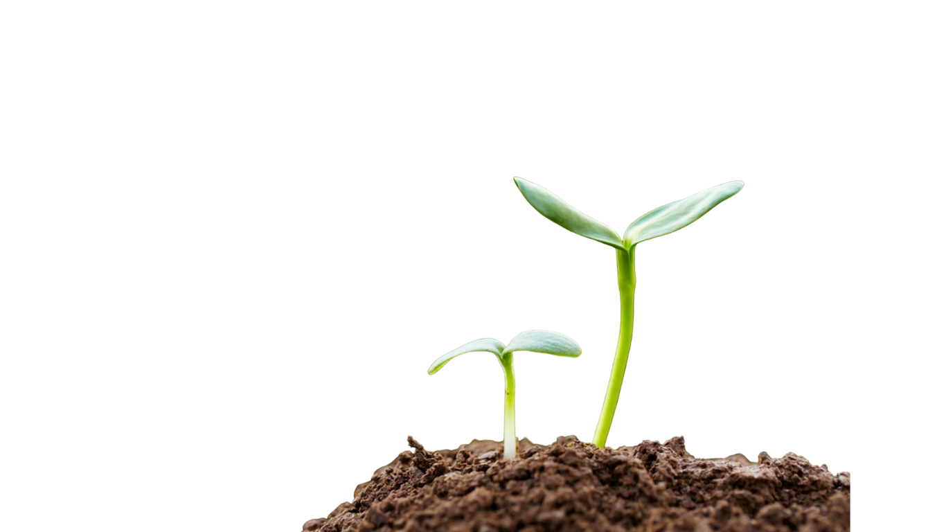 奈良県生駒市のホームページ制作会社とびらの向こうのメインビジュアル